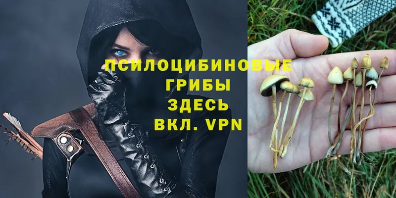 Псилоцибиновые грибы Magic Shrooms  Нефтегорск 