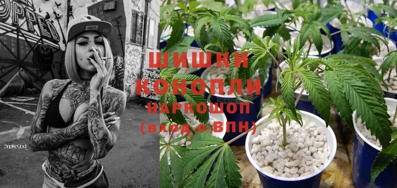 Марихуана OG Kush  Нефтегорск 